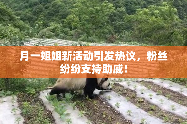 月一姐姐新活动引发热议，粉丝纷纷支持助威！
