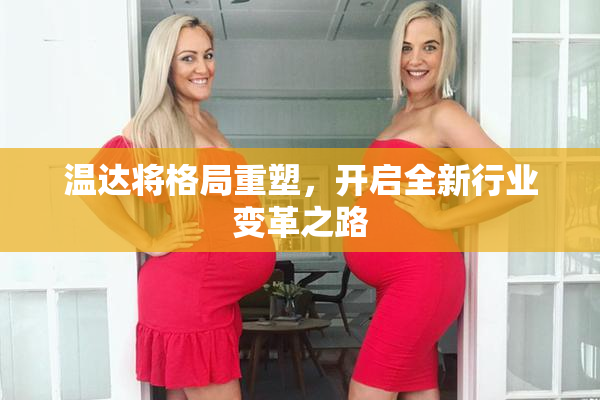 温达将格局重塑，开启全新行业变革之路