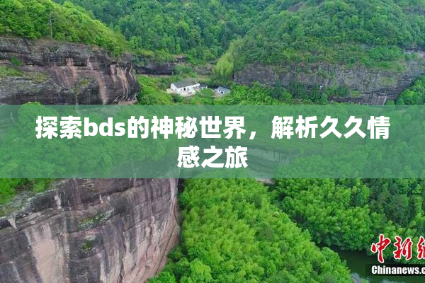 探索bds的神秘世界，解析久久情感之旅