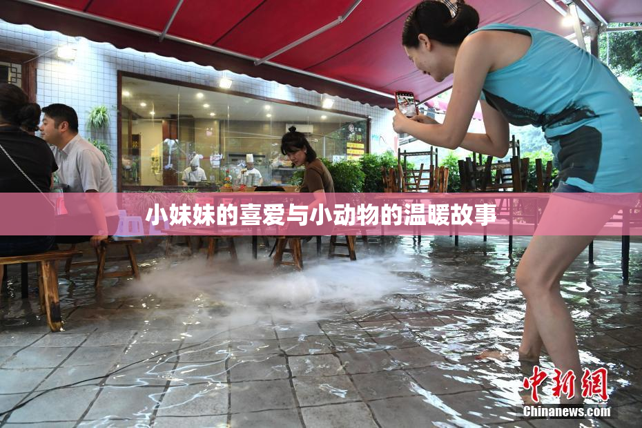 小妹妹的喜爱与小动物的温暖故事