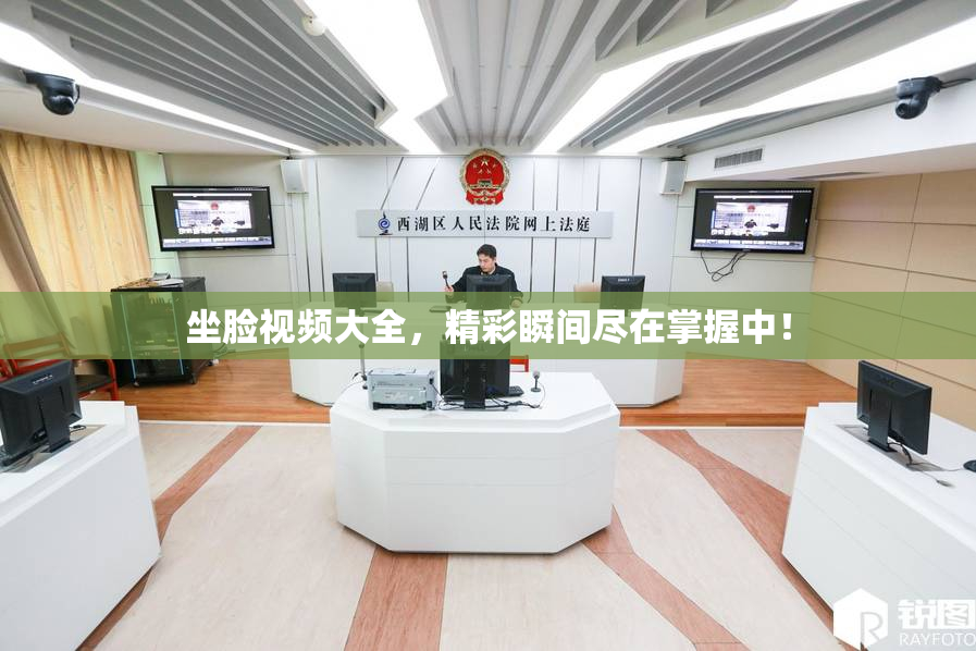 坐脸视频大全，精彩瞬间尽在掌握中！