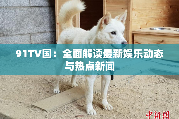 91TV国：全面解读最新娱乐动态与热点新闻