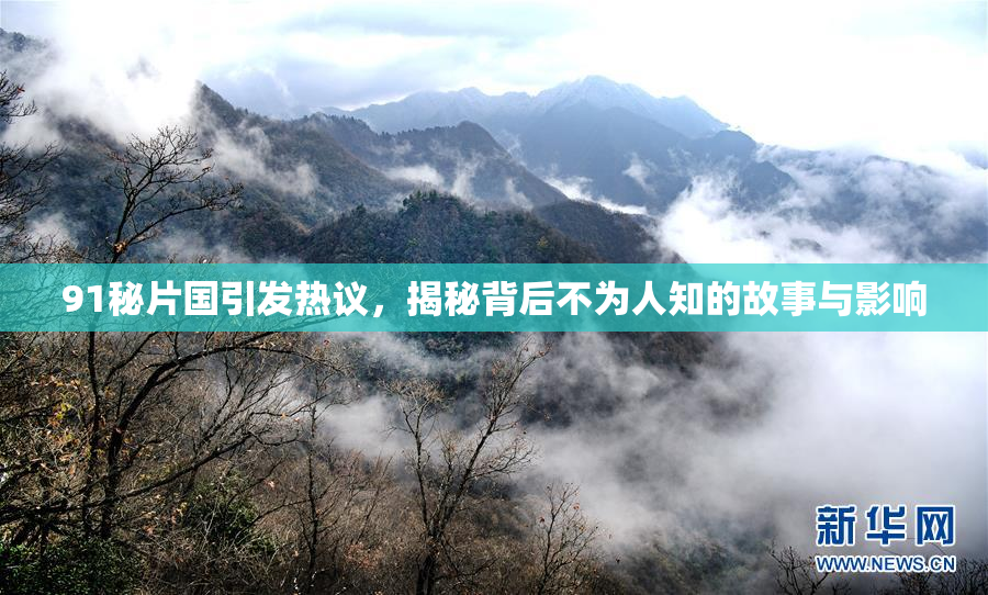 91秘片国引发热议，揭秘背后不为人知的故事与影响