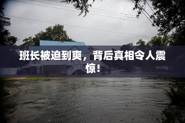班长被迫到爽，背后真相令人震惊！