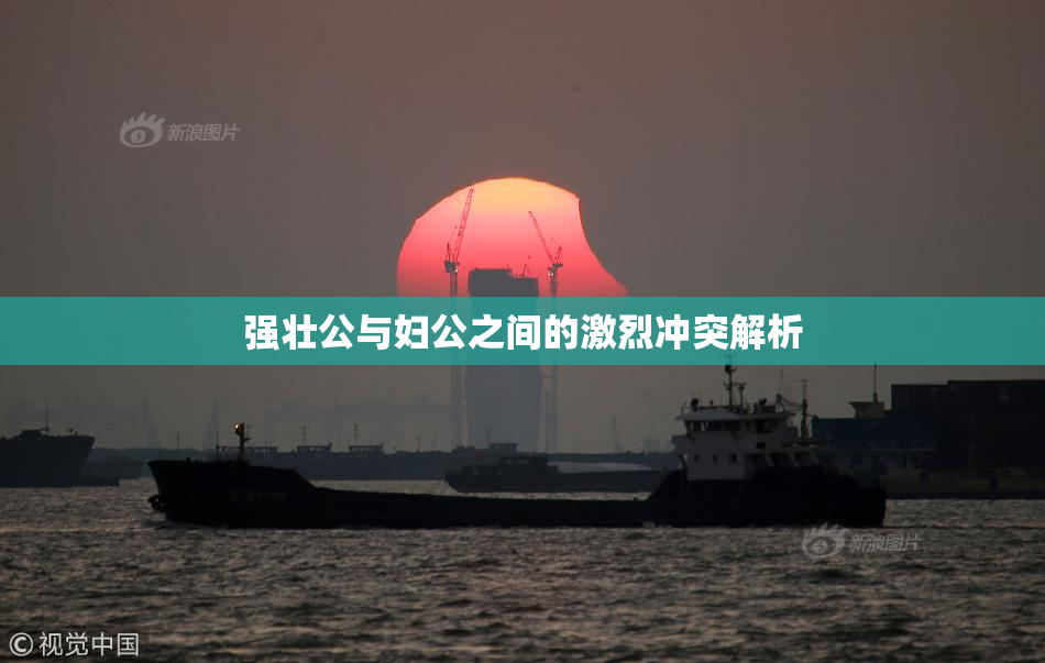 强壮公与妇公之间的激烈冲突解析