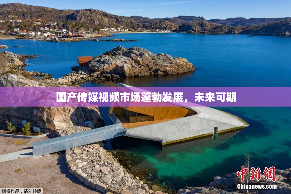 国产传媒视频市场蓬勃发展，未来可期