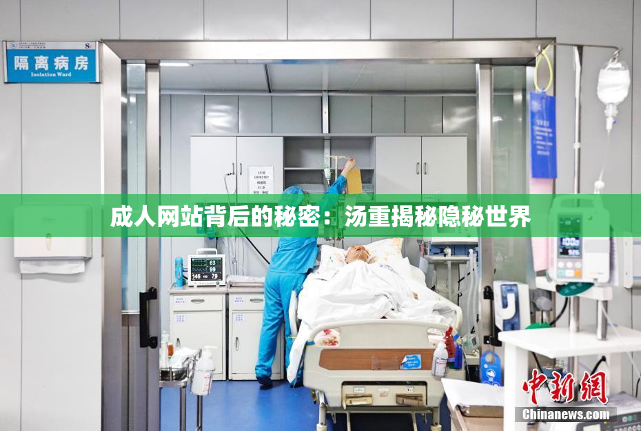 成人网站背后的秘密：汤重揭秘隐秘世界