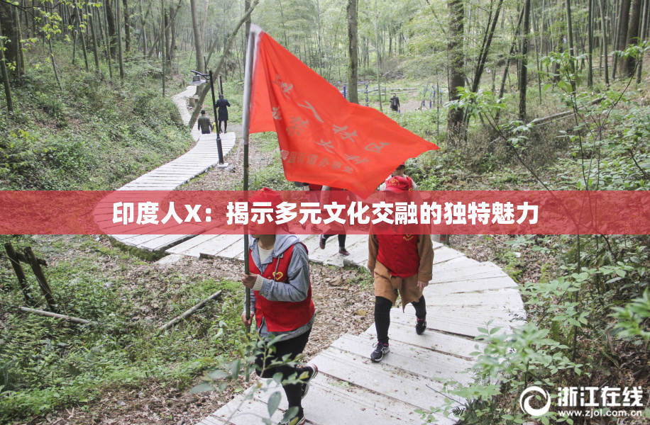 印度人X：揭示多元文化交融的独特魅力