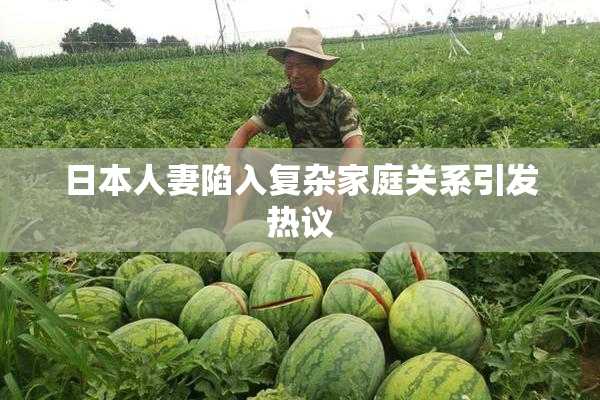 日本人妻陷入复杂家庭关系引发热议