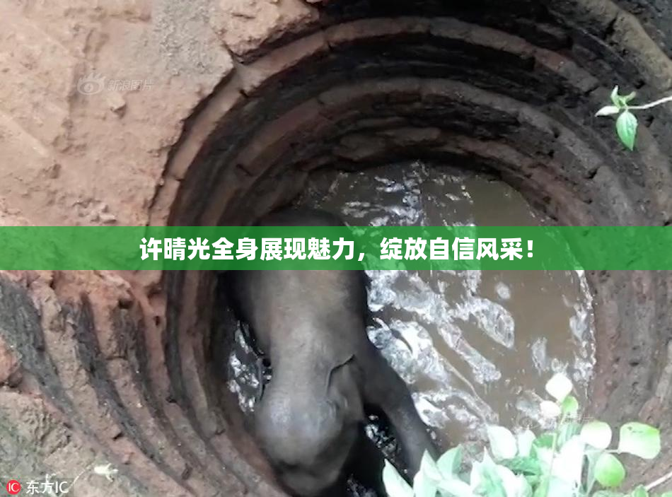 许晴光全身展现魅力，绽放自信风采！