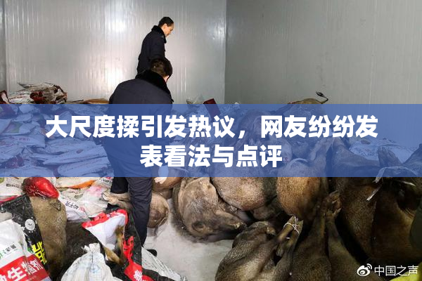 大尺度揉引发热议，网友纷纷发表看法与点评