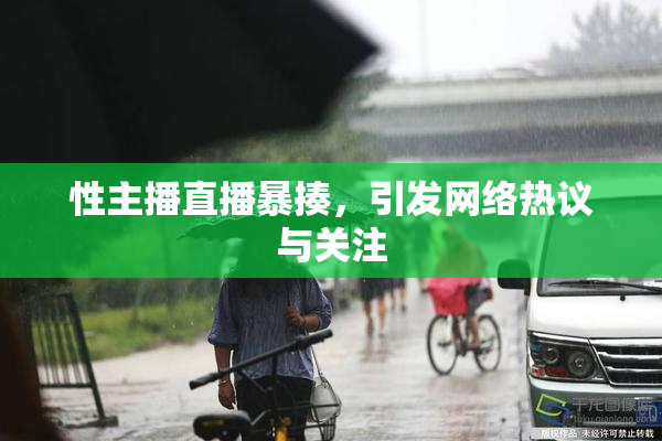 性主播直播暴揍，引发网络热议与关注