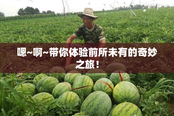 嗯~啊~带你体验前所未有的奇妙之旅！