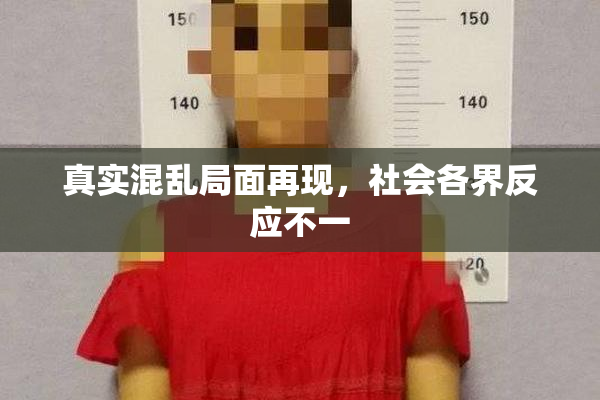 真实混乱局面再现，社会各界反应不一