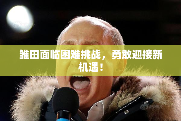 雏田面临困难挑战，勇敢迎接新机遇！