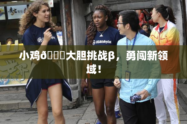 小鸡🐔大胆挑战β，勇闯新领域！