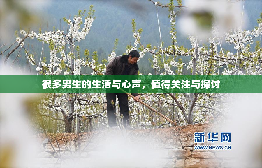 很多男生的生活与心声，值得关注与探讨