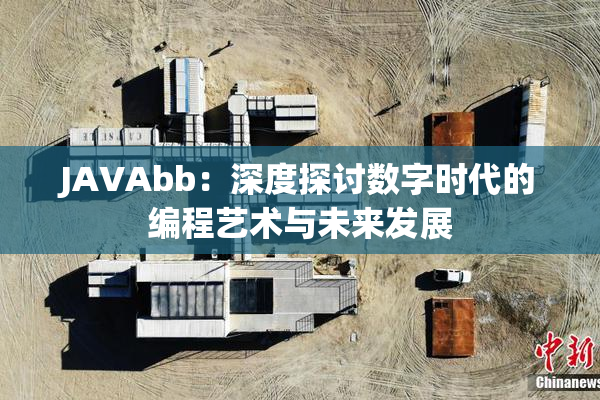 JAVAbb：深度探讨数字时代的编程艺术与未来发展