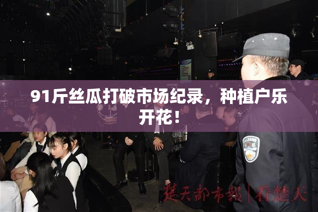 91斤丝瓜打破市场纪录，种植户乐开花！