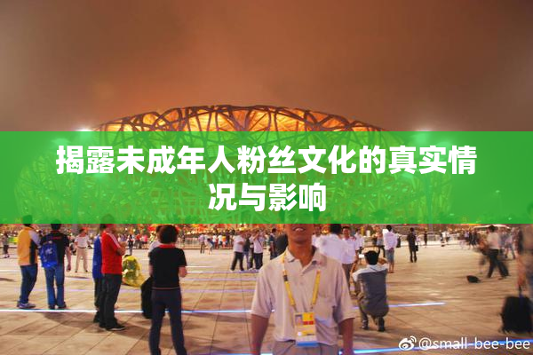 揭露未成年人粉丝文化的真实情况与影响