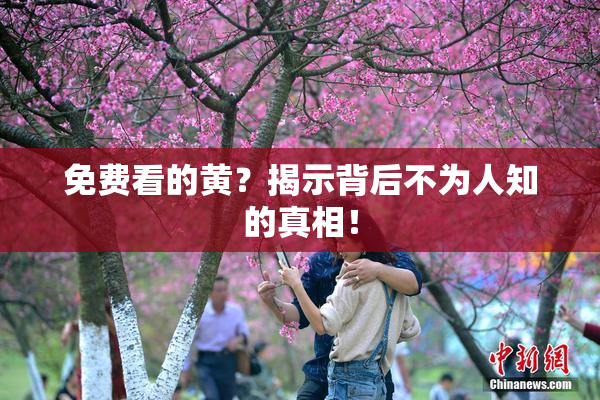 免费看的黄？揭示背后不为人知的真相！