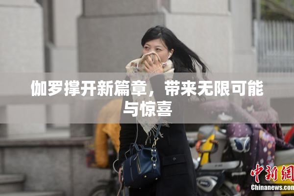 伽罗撑开新篇章，带来无限可能与惊喜