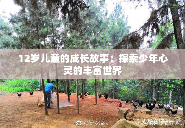 12岁儿童的成长故事：探索少年心灵的丰富世界