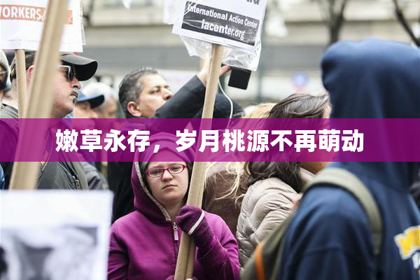 嫩草永存，岁月桃源不再萌动