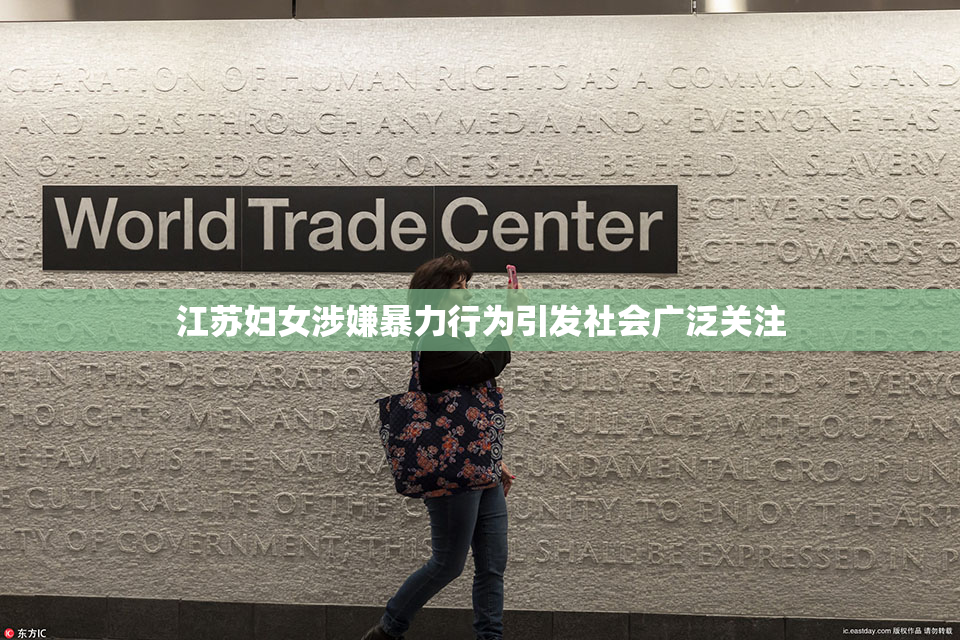 江苏妇女涉嫌暴力行为引发社会广泛关注