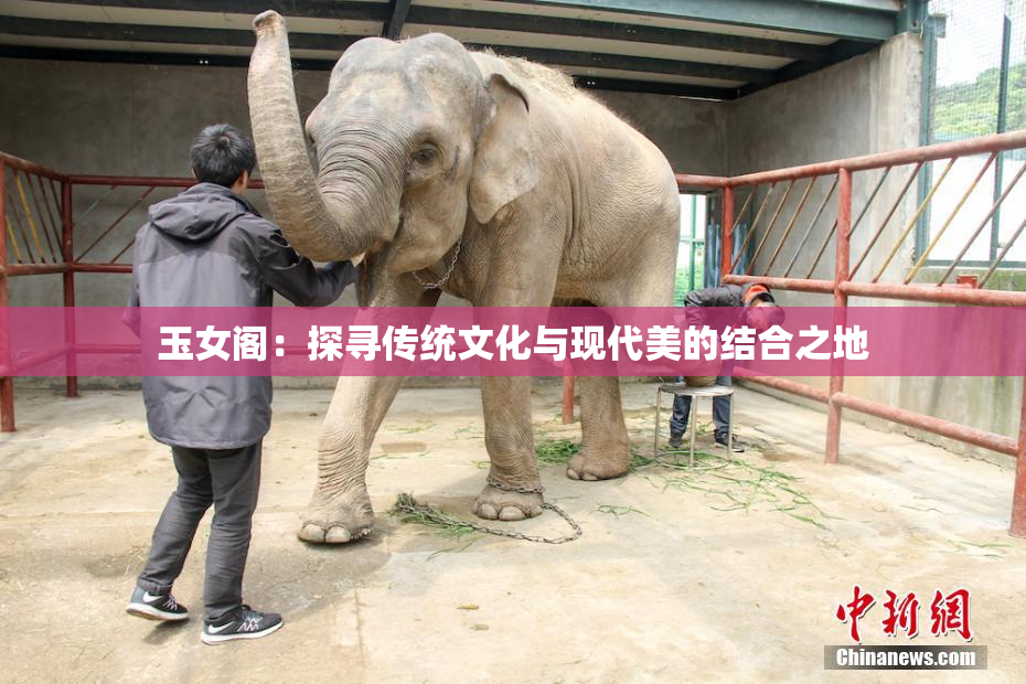 玉女阁：探寻传统文化与现代美的结合之地