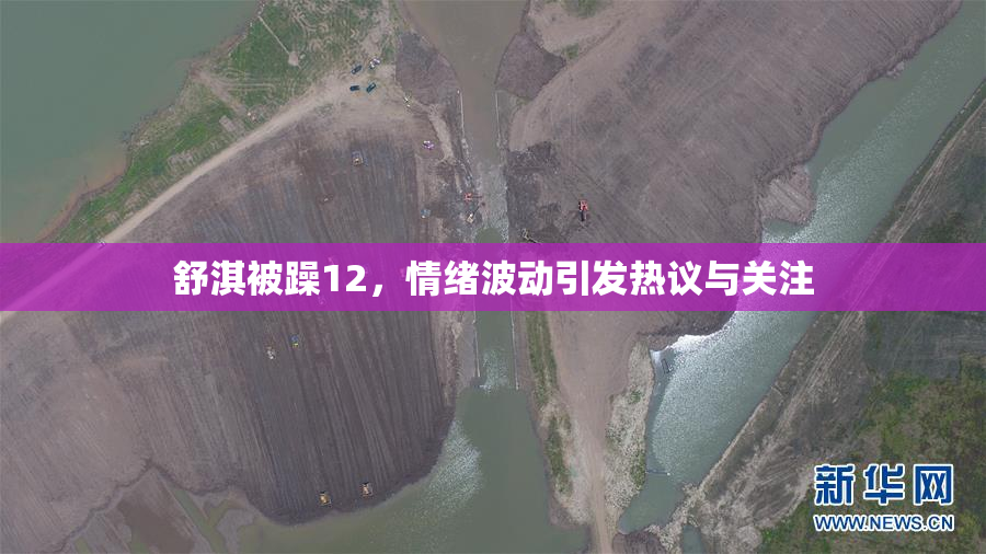 舒淇被躁12，情绪波动引发热议与关注