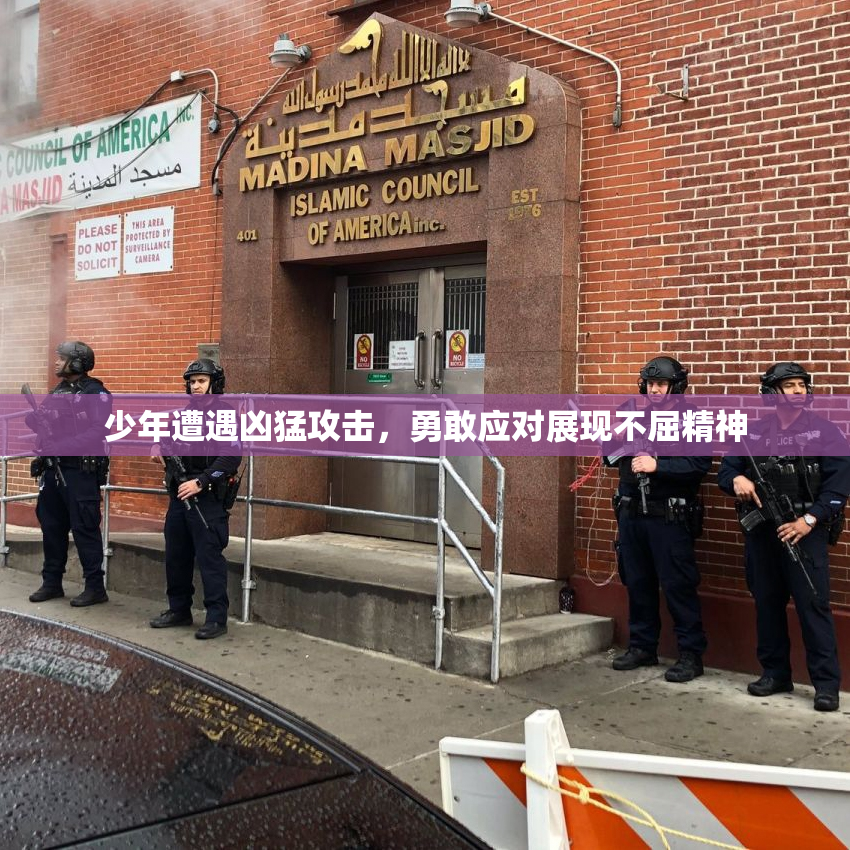少年遭遇凶猛攻击，勇敢应对展现不屈精神