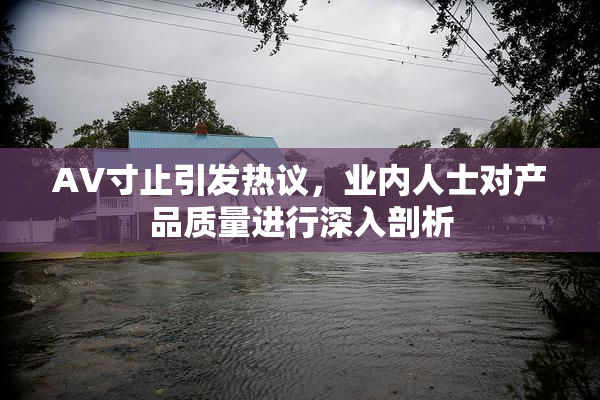 AV寸止引发热议，业内人士对产品质量进行深入剖析