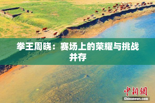 拳王周晓：赛场上的荣耀与挑战并存