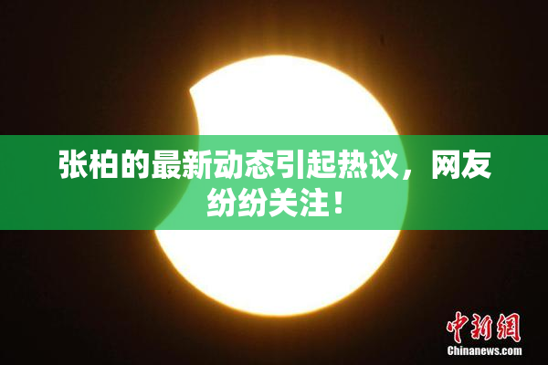 张柏的最新动态引起热议，网友纷纷关注！
