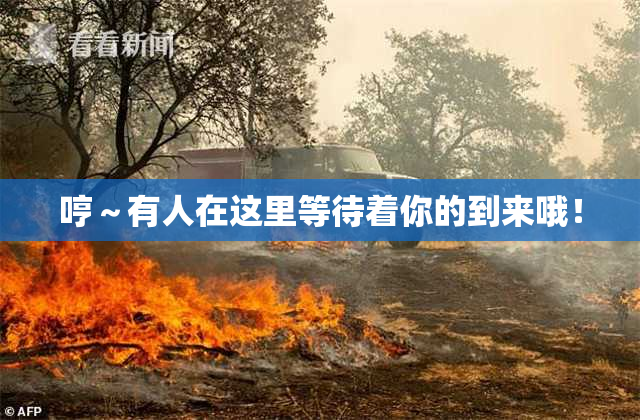 哼～有人在这里等待着你的到来哦！