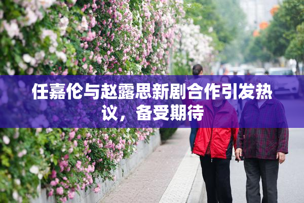任嘉伦与赵露思新剧合作引发热议，备受期待