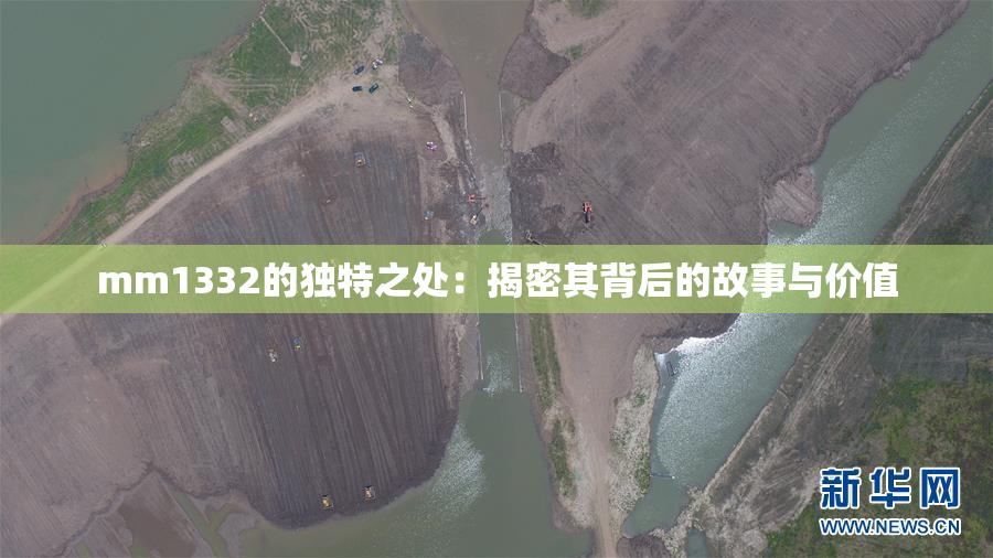 mm1332的独特之处：揭密其背后的故事与价值