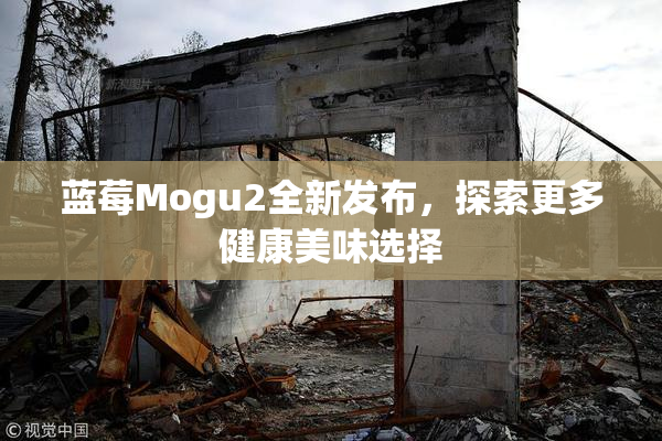 蓝莓Mogu2全新发布，探索更多健康美味选择