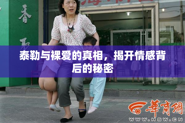 泰勒与裸爱的真相，揭开情感背后的秘密