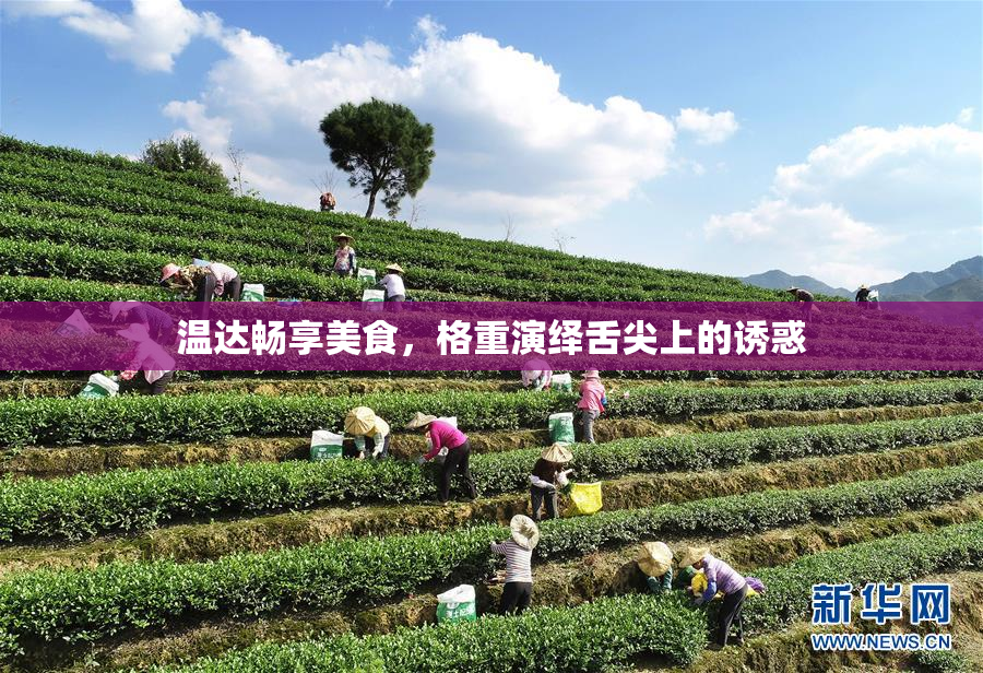 温达畅享美食，格重演绎舌尖上的诱惑