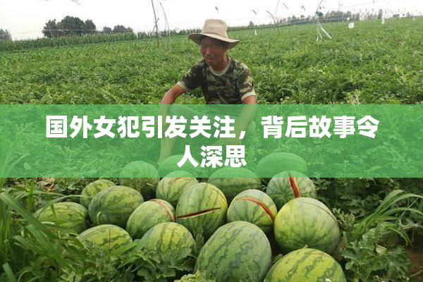 国外女犯引发关注，背后故事令人深思