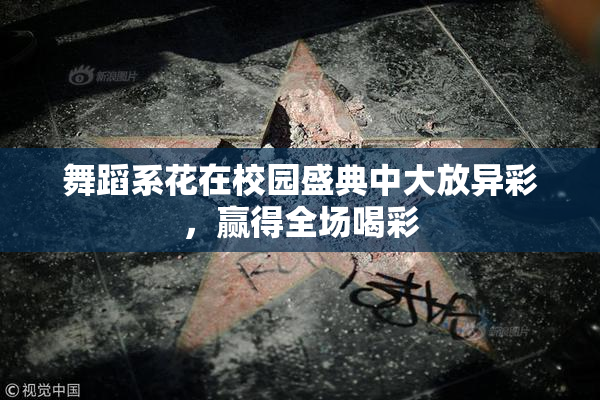 舞蹈系花在校园盛典中大放异彩，赢得全场喝彩