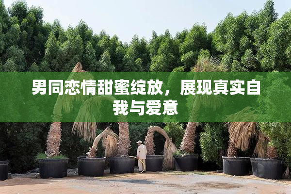 男同恋情甜蜜绽放，展现真实自我与爱意