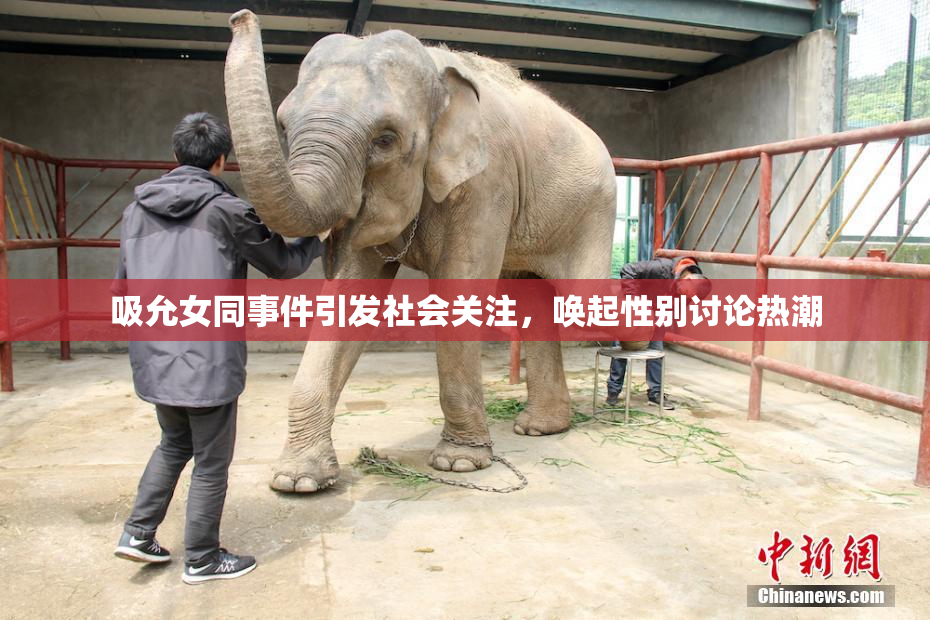吸允女同事件引发社会关注，唤起性别讨论热潮
