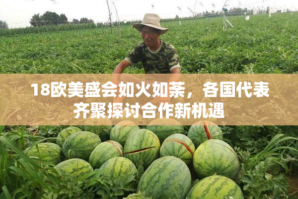 18欧美盛会如火如荼，各国代表齐聚探讨合作新机遇