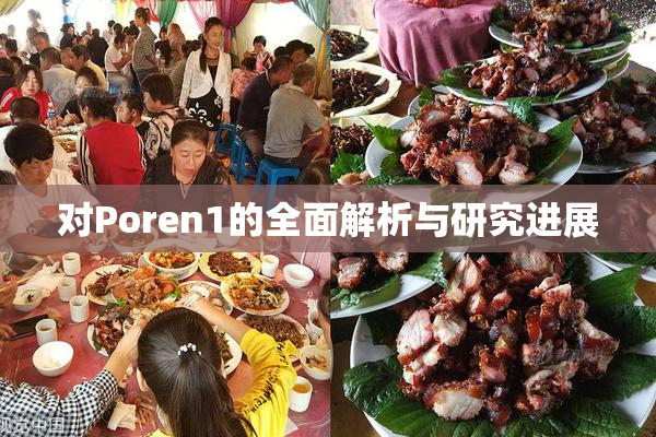 对Poren1的全面解析与研究进展