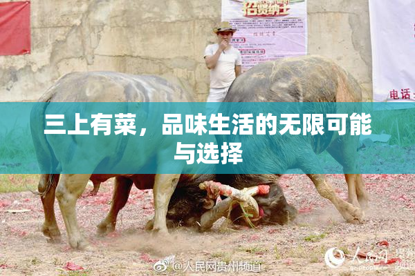 三上有菜，品味生活的无限可能与选择