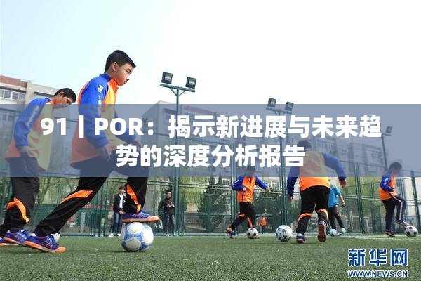 91丨POR：揭示新进展与未来趋势的深度分析报告