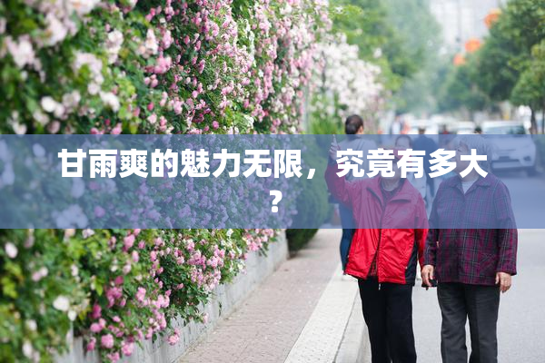 甘雨爽的魅力无限，究竟有多大？